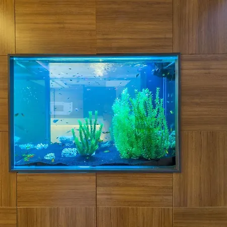 Hotel Matiat Istambul