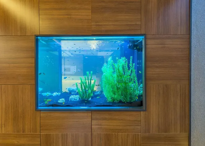 Отель Matiat Hotel Istanbul Стамбул